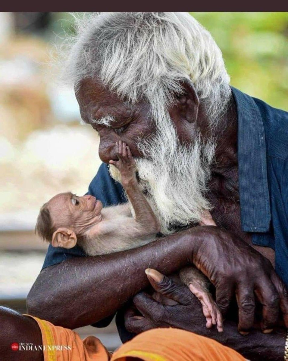 रिश्ता वही क़ायम रहता है  जो दिल से शुरू हो 
ज़रूरत से नहीं  ♥️