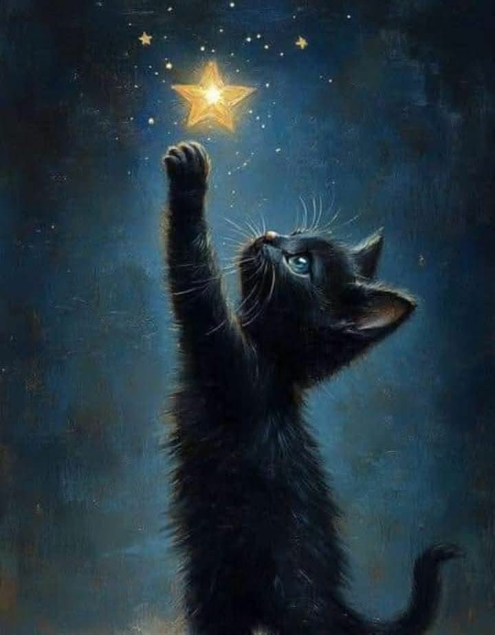 Quinn 💛(G.Quinn Rogers) (@quinnqueens) on Twitter photo <a href="/yelarvel/">*♋️Hecate♋️💞🌻🌷🌹💞</a> <a href="/nena_bovb51/">Nena</a> <a href="/musfaca/">M.Fatih Çalıkoğlu</a> <a href="/nuvisionquestt3/">🦅NU_VISION_QUEST_TYPE3🏹</a> <a href="/BadassK237/">✨ Ness ✨</a> <a href="/tripletsfan19/">Rick</a> <a href="/AngelickaStrada/">Angélica Strada Gallegos</a> <a href="/majd9757/">M</a> <a href="/Jilliemary/">Jillian Peeling</a> <a href="/___B4U/">B!£^£</a> <a href="/sasha_stana/">𝕷𝖊𝖓𝖆 🦋🌹🇩🇪𝕾𝖊𝖗𝖎𝖊𝖘 𝕱𝖆𝖓𝖘</a> <a href="/suriyamaham/">Maham 🌺🍃🌺</a> <a href="/eshahan345/">Esha💕💕Khan💕💕</a> <a href="/jet_new/">ⓙⓝ ʝɛt_ռɛա</a> <a href="/miarianmoreno/">MIRIAN_RD🇩🇴 #LoveDMami ❤AmigosD❤</a> <a href="/GFBS17/">👦#Gust `s TFBS</a> <a href="/jclockyer/">Jamie Lockyer🇨🇦</a> <a href="/MagDivina/">🌹Mag Divina ❤</a> <a href="/EmpressD007/">EmpressD007 (Deb)</a> <a href="/HumbleIndian/">Vivek Hindustani</a> <a href="/KedmaHelena1/">💕KédmaHelena1💕</a> #TmKindness 🖤
<a href="/yelarvel/">*♋️Hecate♋️💞🌻🌷🌹💞</a>
<a href="/musfaca/">M.Fatih Çalıkoğlu</a>
<a href="/HumbleIndian/">Vivek Hindustani</a>
<a href="/insaurraldeh/">⭐POLI⭐ #MGWV⭐</a>
<a href="/nena_bovb51/">Nena</a>
<a href="/nuvisionquestt4/">🦅NU_VISION_QUEST_TYPE4🏹</a>
<a href="/Alana__28/">#AmigosD❤ #LoveDeMami</a>
<a href="/sasha_stana/">𝕷𝖊𝖓𝖆 🦋🌹🇩🇪𝕾𝖊𝖗𝖎𝖊𝖘 𝕱𝖆𝖓𝖘</a>
<a href="/BadassK237/">✨ Ness ✨</a>
<a href="/tripletsfan19/">Rick</a>
<a href="/suriyamaham/">Maham 🌺🍃🌺</a>
<a href="/Jilliemary/">Jillian Peeling</a>
<a href="/majd9757/">M</a>
<a href="/GFBS17/">👦#Gust `s TFBS</a>
<a href="/MagDivina/">🌹Mag Divina ❤</a>
<a href="/jclockyer/">Jamie Lockyer🇨🇦</a>
<a href="/jet_new/">ⓙⓝ ʝɛt_ռɛա</a>
<a href="/___B4U/">B!£^£</a>
<a href="/mamiRD_/">🇩🇴mamiRD_ #LoveDeMami❤ AmigosDe❤</a>
<a href="/EmpressD007/">EmpressD007 (Deb)</a>
<a href="/AngelickaStrada/">Angélica Strada Gallegos</a>
<a href="/eshahan345/">Esha💕💕Khan💕💕</a> <a href="/yelarvel/">*♋️Hecate♋️💞🌻🌷🌹💞</a> <a href="/nena_bovb51/">Nena</a> <a href="/musfaca/">M.Fatih Çalıkoğlu</a> <a href="/nuvisionquestt3/">🦅NU_VISION_QUEST_TYPE3🏹</a> <a href="/BadassK237/">✨ Ness ✨</a> <a href="/tripletsfan19/">Rick</a> <a href="/AngelickaStrada/">Angélica Strada Gallegos</a> <a href="/majd9757/">M</a> <a href="/Jilliemary/">Jillian Peeling</a> <a href="/___B4U/">B!£^£</a> <a href="/sasha_stana/">𝕷𝖊𝖓𝖆 🦋🌹🇩🇪𝕾𝖊𝖗𝖎𝖊𝖘 𝕱𝖆𝖓𝖘</a> <a href="/suriyamaham/">Maham 🌺🍃🌺</a> <a href="/eshahan345/">Esha💕💕Khan💕💕</a> <a href="/jet_new/">ⓙⓝ ʝɛt_ռɛա</a> <a href="/miarianmoreno/">MIRIAN_RD🇩🇴 #LoveDMami ❤AmigosD❤</a> <a href="/GFBS17/">👦#Gust `s TFBS</a> <a href="/jclockyer/">Jamie Lockyer🇨🇦</a> <a href="/MagDivina/">🌹Mag Divina ❤</a> <a href="/EmpressD007/">EmpressD007 (Deb)</a> <a href="/HumbleIndian/">Vivek Hindustani</a> <a href="/KedmaHelena1/">💕KédmaHelena1💕</a> #TmKindness 🖤
<a href="/yelarvel/">*♋️Hecate♋️💞🌻🌷🌹💞</a>
<a href="/musfaca/">M.Fatih Çalıkoğlu</a>
<a href="/HumbleIndian/">Vivek Hindustani</a>
<a href="/insaurraldeh/">⭐POLI⭐ #MGWV⭐</a>
<a href="/nena_bovb51/">Nena</a>
<a href="/nuvisionquestt4/">🦅NU_VISION_QUEST_TYPE4🏹</a>
<a href="/Alana__28/">#AmigosD❤ #LoveDeMami</a>
<a href="/sasha_stana/">𝕷𝖊𝖓𝖆 🦋🌹🇩🇪𝕾𝖊𝖗𝖎𝖊𝖘 𝕱𝖆𝖓𝖘</a>
<a href="/BadassK237/">✨ Ness ✨</a>
<a href="/tripletsfan19/">Rick</a>
<a href="/suriyamaham/">Maham 🌺🍃🌺</a>
<a href="/Jilliemary/">Jillian Peeling</a>
<a href="/majd9757/">M</a>
<a href="/GFBS17/">👦#Gust `s TFBS</a>
<a href="/MagDivina/">🌹Mag Divina ❤</a>
<a href="/jclockyer/">Jamie Lockyer🇨🇦</a>
<a href="/jet_new/">ⓙⓝ ʝɛt_ռɛա</a>
<a href="/___B4U/">B!£^£</a>
<a href="/mamiRD_/">🇩🇴mamiRD_ #LoveDeMami❤ AmigosDe❤</a>
<a href="/EmpressD007/">EmpressD007 (Deb)</a>
<a href="/AngelickaStrada/">Angélica Strada Gallegos</a>
<a href="/eshahan345/">Esha💕💕Khan💕💕</a>