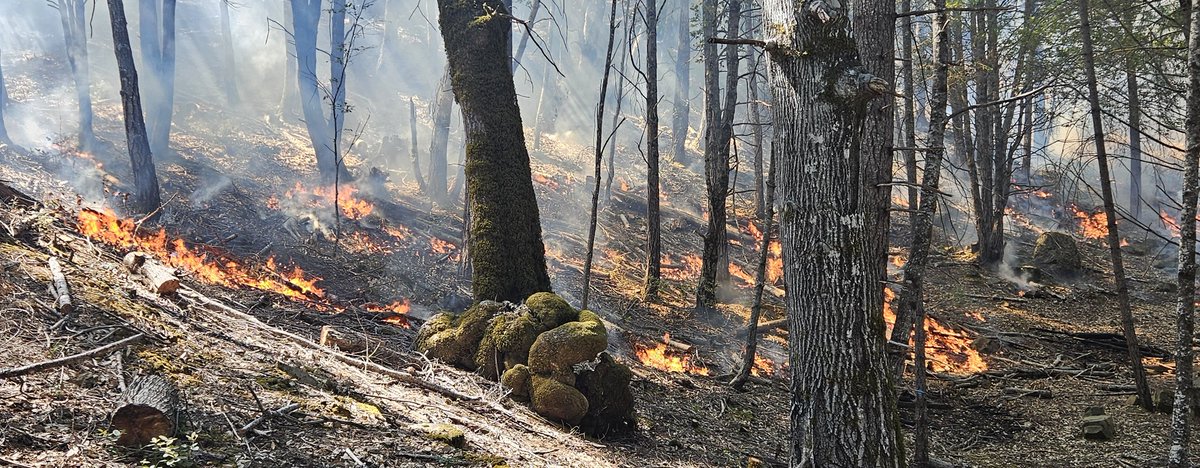 12 Acres completed. 
Great job Community,  Landowners and the Northern California Prescribed Fire Module. 🔥 and Bell Springs Fire Department 
Crews and Engines will be patrolling and securing for the next couple of days
#torchbearr #teamtorchbearr #RxFIRE #empowerment #training