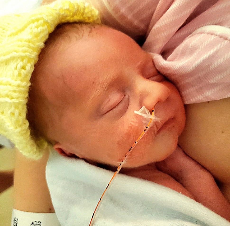 Hannah Macomson tweet media