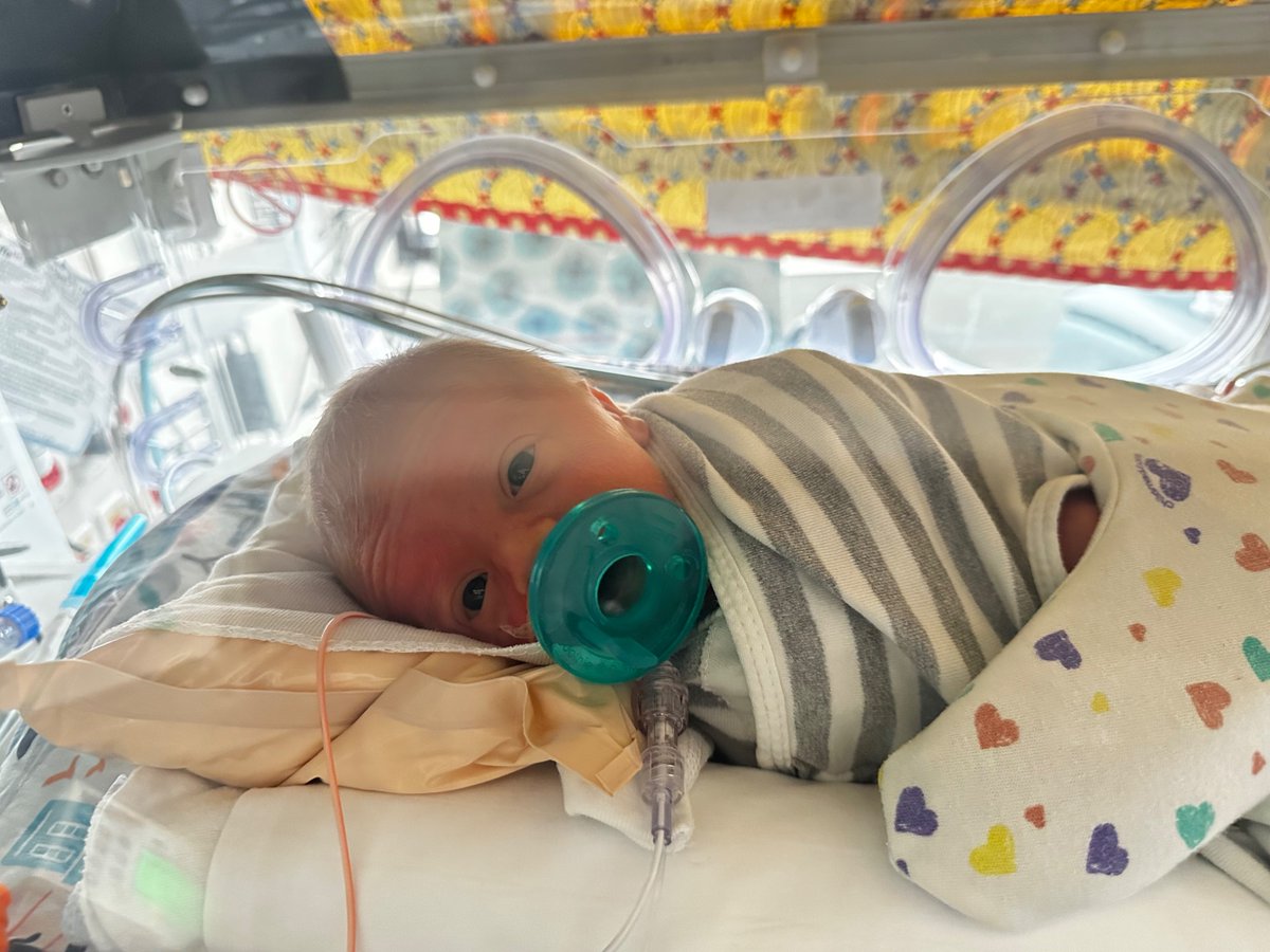 Hannah Macomson tweet media