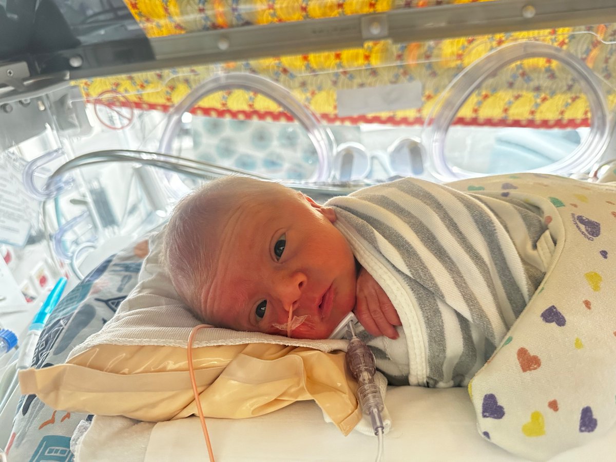 Hannah Macomson tweet media