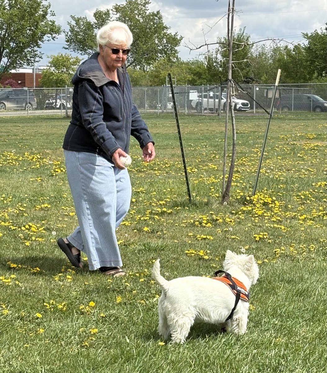 Benji The Westie (@benjicdnwestie) on Twitter photo After them zombs under the dandelions today with MOM . Cdn Corp Benji <a href="/Angie_baby_25/">Angela ❤️🐶🌈🌞</a> <a href="/snoopysue71/">suzanne masters</a> <a href="/vjstevens8/">veronika stevens</a>
<a href="/CindieM95386652/">Kami Cairn and WoodenShoe Reggie (OTR Angel 2023)</a> <a href="/ZombieSquadHQ/">ZombieSquadHQ💖💚🧡💚🩵©</a> <a href="/YorkieDad_21/">Love & Sri</a> <a href="/katarina19623/">Katarina Brännström</a> <a href="/HeavenWestie/">♡HҽαʋҽɳWҽʂƚie♡</a> After them zombs under the dandelions today with MOM . Cdn Corp Benji <a href="/Angie_baby_25/">Angela ❤️🐶🌈🌞</a> <a href="/snoopysue71/">suzanne masters</a> <a href="/vjstevens8/">veronika stevens</a>
<a href="/CindieM95386652/">Kami Cairn and WoodenShoe Reggie (OTR Angel 2023)</a> <a href="/ZombieSquadHQ/">ZombieSquadHQ💖💚🧡💚🩵©</a> <a href="/YorkieDad_21/">Love & Sri</a> <a href="/katarina19623/">Katarina Brännström</a> <a href="/HeavenWestie/">♡HҽαʋҽɳWҽʂƚie♡</a>