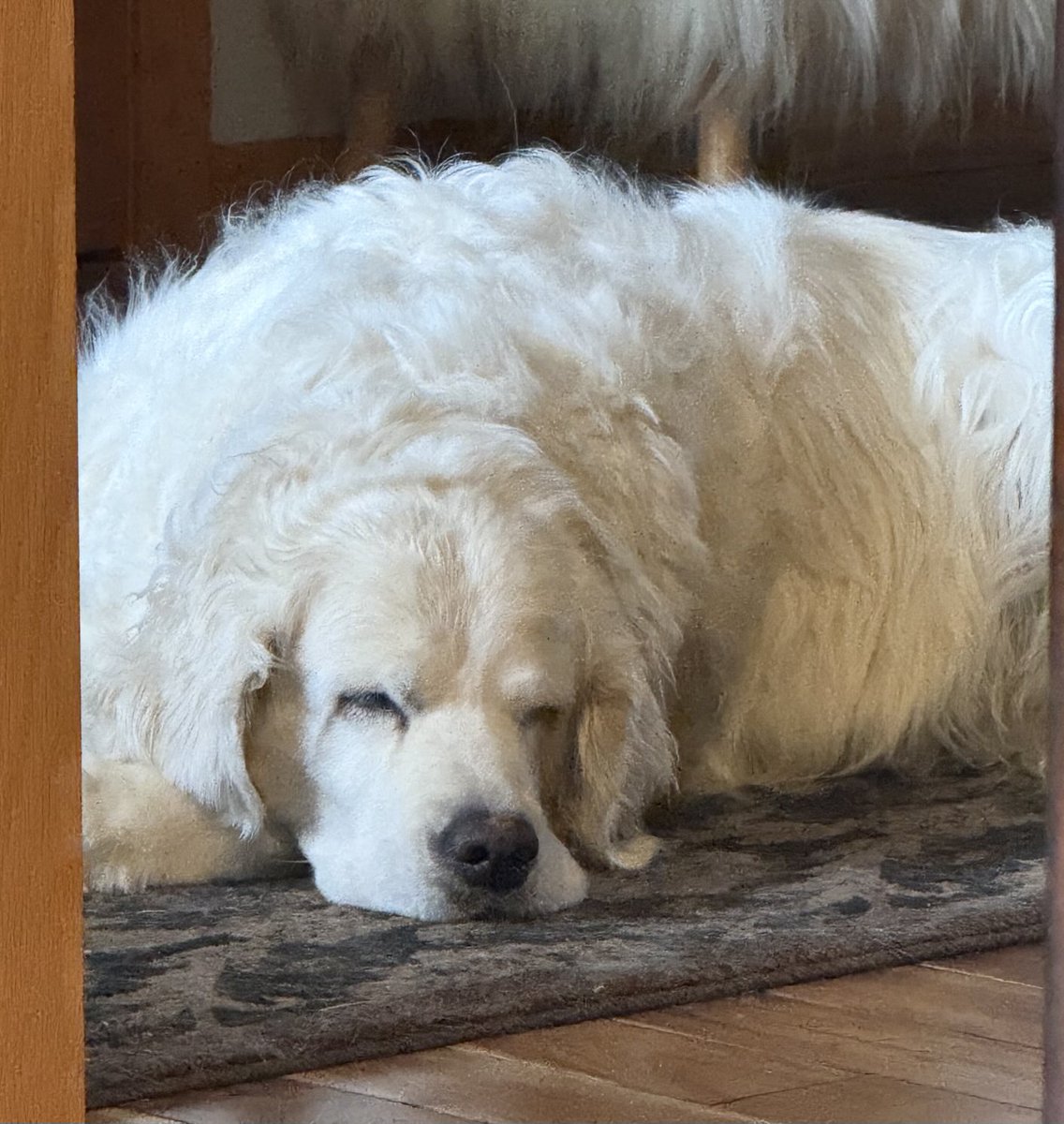 NorthernTails out…