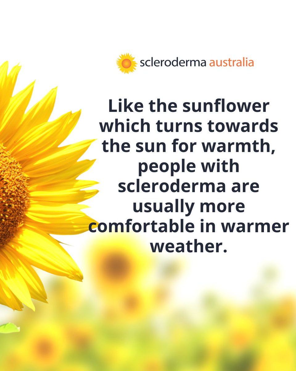 Just like sunflowers, people living with #scleroderma often feel more comfortable in warmer weather. 

That’s why the sunflower has become a powerful national symbol for Scleroderma Australia - representing hope, warmth, and resilience!
.
.
#SclerodermaAustralia #SunflowerSymbol