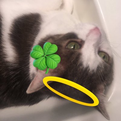 AngelCandyMom's tweet image. #NewProfilePic