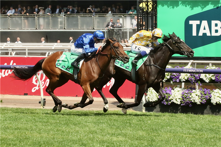 There are higher-profile mares than Amazonian Lass being offered at next week's National Broodmare Sale, but the daughter of More Than Ready is a unique lot in the Magic Millions offering.
racingandsports.com.au/news/bloodstoc…
