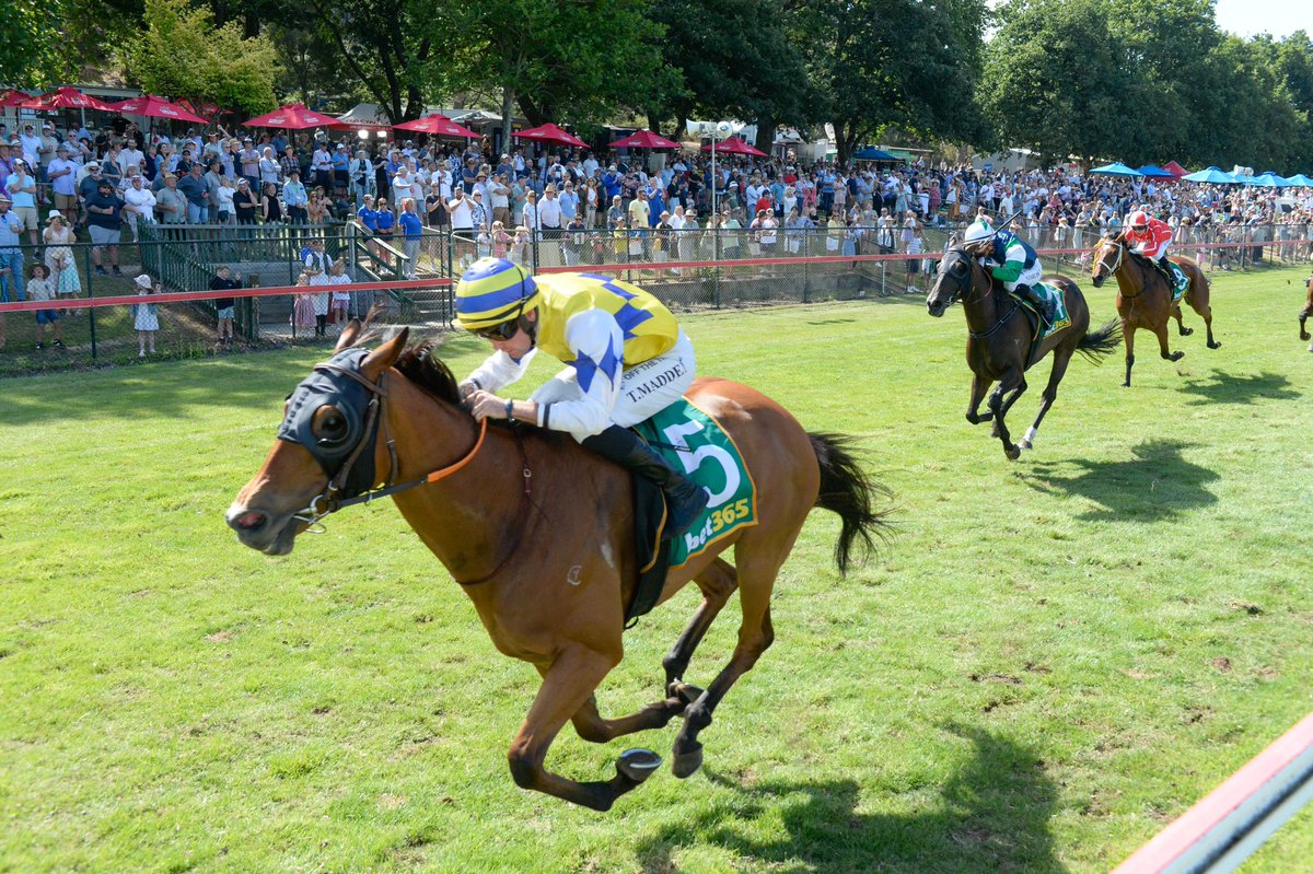 Country Racing tweet media
