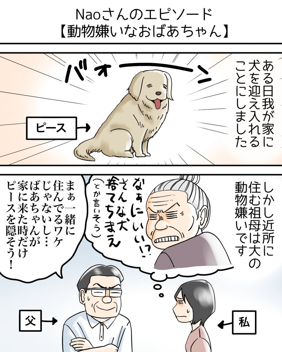 動物嫌いだった祖母と、愛犬ピースに絆が生まれた話(体験談)1/3 
