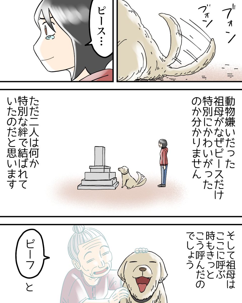 動物嫌いだった祖母と、愛犬ピースに絆が生まれた話(体験談)3/3 