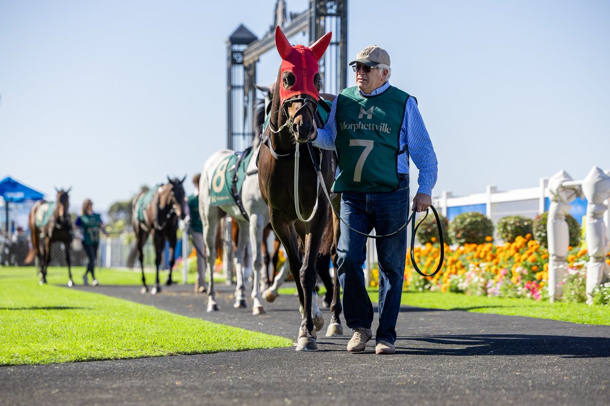 Port Augusta | May 23

Hoping to get back to his dominant debut, Bleak Mid Winter finds a small field in the first with stable apprentice Isaac Sit taking the three kilos off his back.



Good luck to his connections.