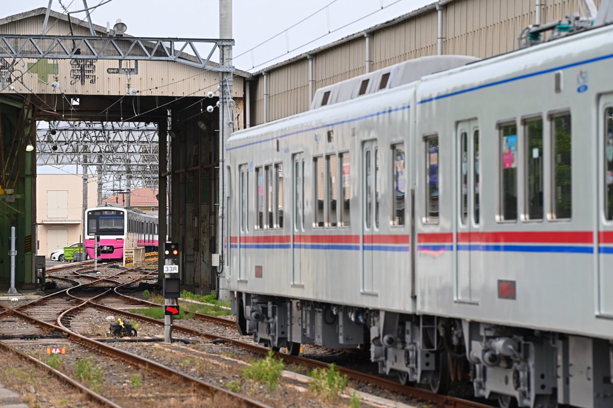 いわも tweet media