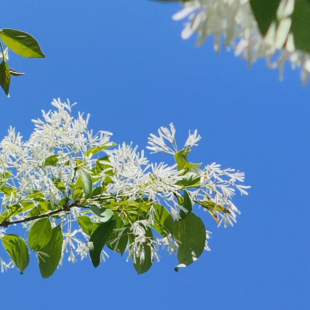 🦋라디샤🦋 tweet media