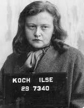 Robert31627516's tweet photo. @SteinbachErika #reparationenmachenfrei https://t.co/JiKx6Z4A14