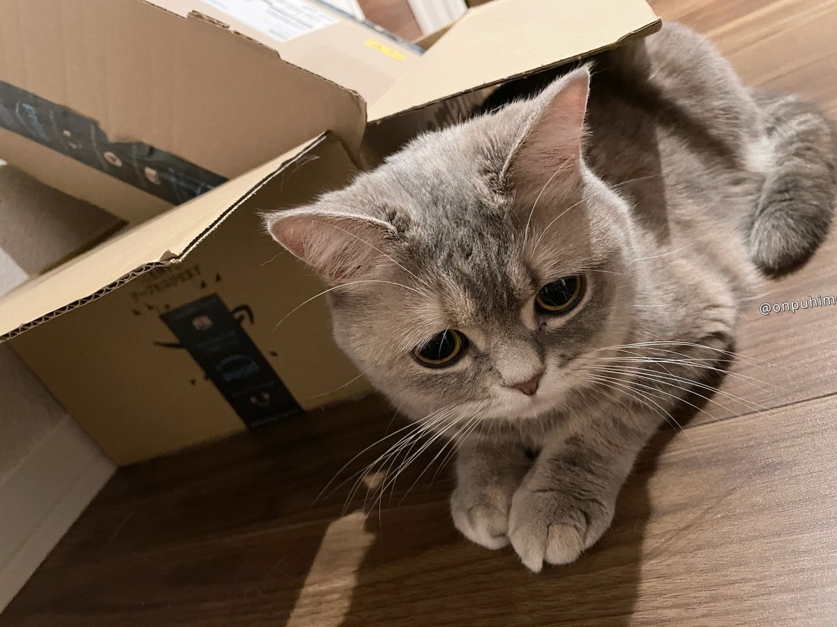 おんぷちゃん🎵 (@onpuhime1011) / X