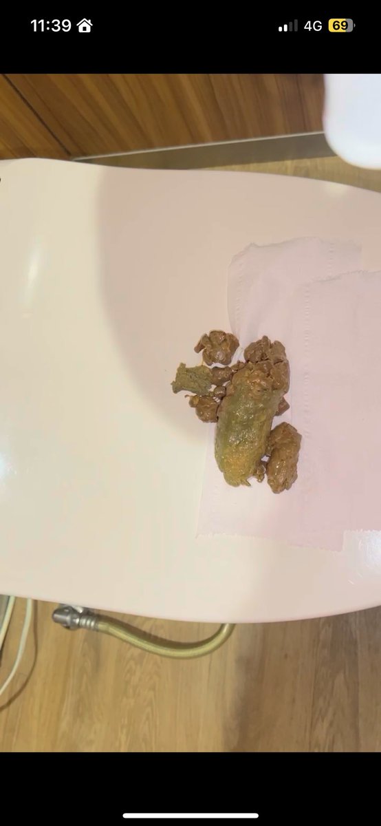 便器の上にしちゃったよ🤭

PayPay500円で送る!💌
※カカオのみ🙏🏻