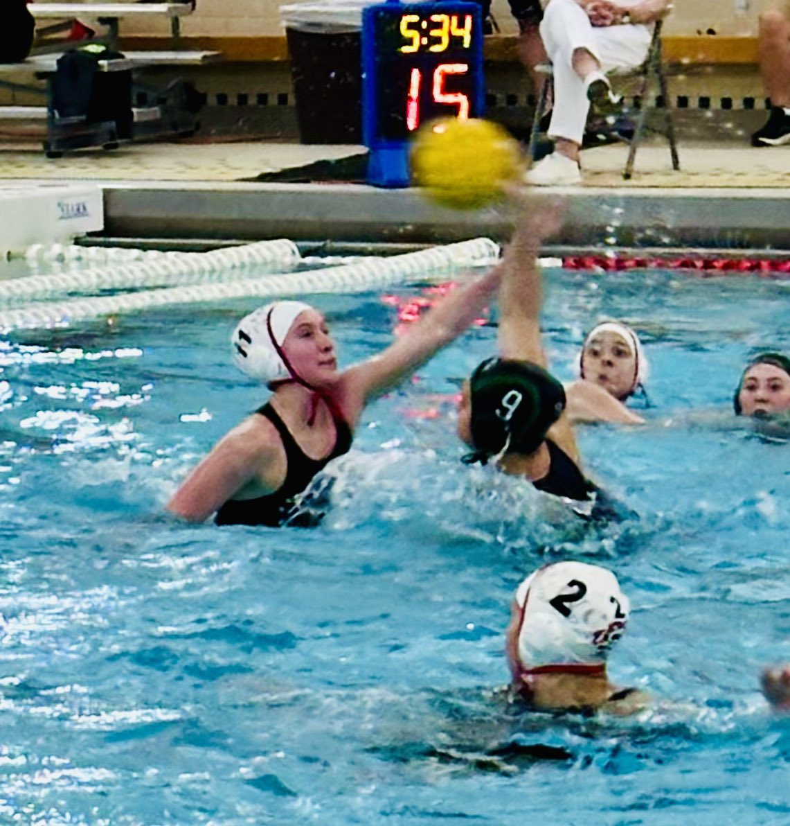 YorkAthletics's tweet photo. Girls’ Water Polo
IHSA State Quarter Final
York  11
Lincoln Way Central  4
Nice job girls!
Dukes will play Lyons Township on Saturday at 10:15 am in the Semi-Final https://t.co/nPpZGVf1lS