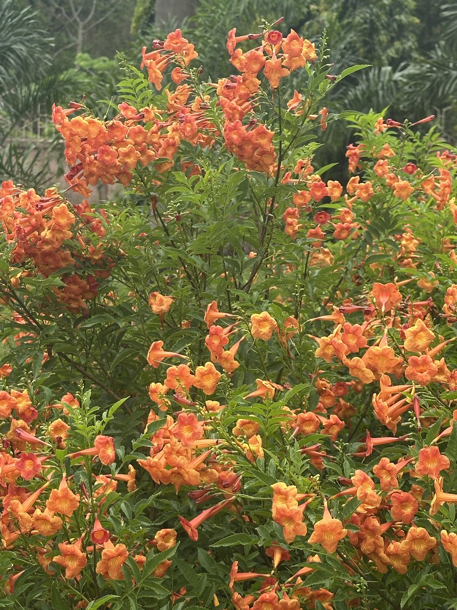 satty❤️❤️ tweet media