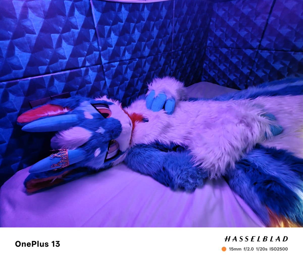 #FurrsuitFriday
你这光线不太对喔
🍤：白滴