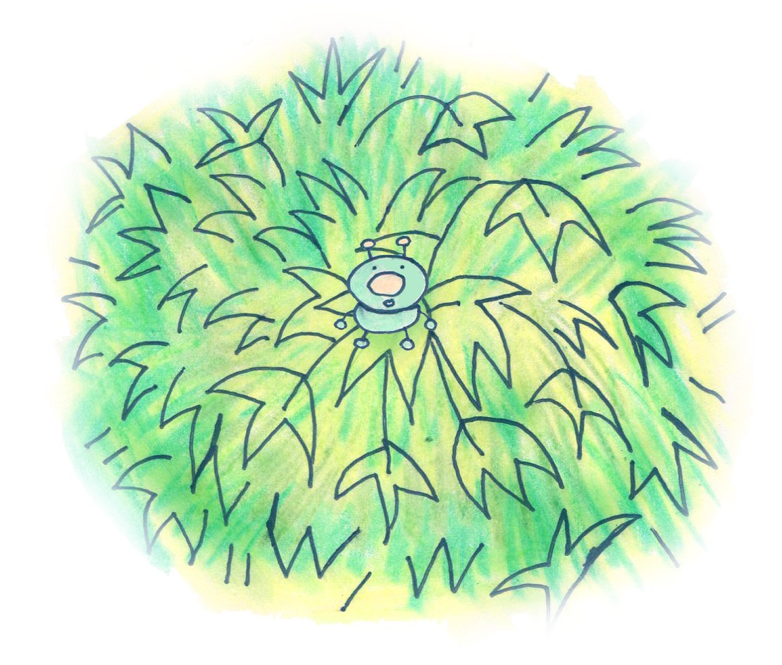 「somewhere, in the middle of a forest, a 」|alivia h.のイラスト