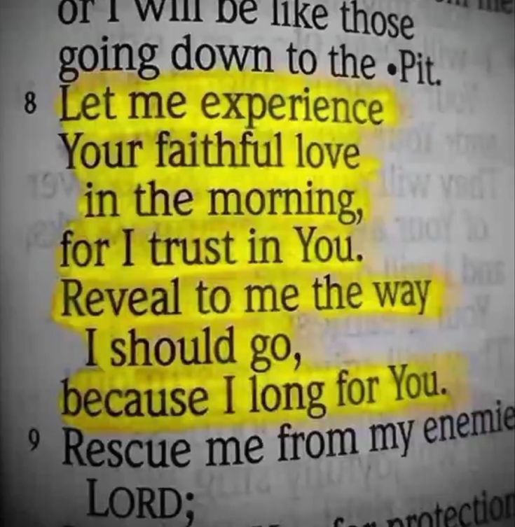 Good morning everyone