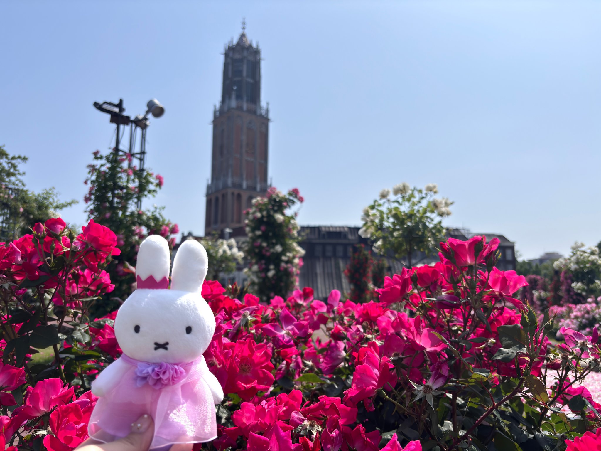 ハウステンボス公式 on X: 