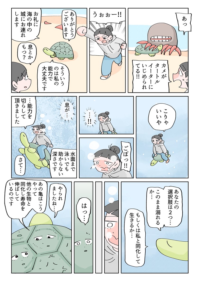 今日は何の日　5月23日は世界亀の日
