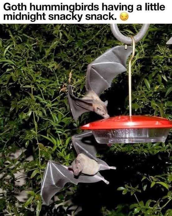 Unknown Ventures tweet media