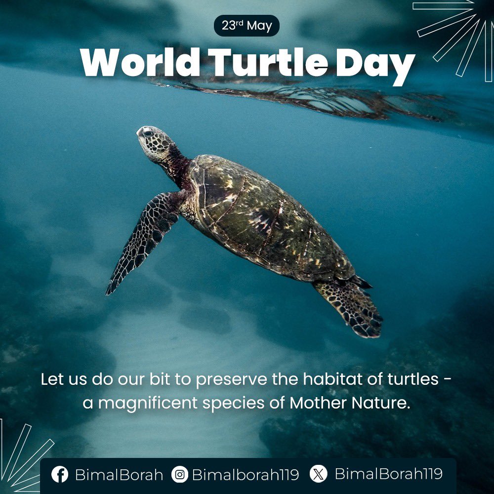 BimalBorah119's tweet image. On #WorldTurtleDay, let’s raise our voices for these gentle mariners of the sea.

Let us protect their habitats, reduce plastic pollution, and safeguard their future — one small act at a time.

#SaveTurtles