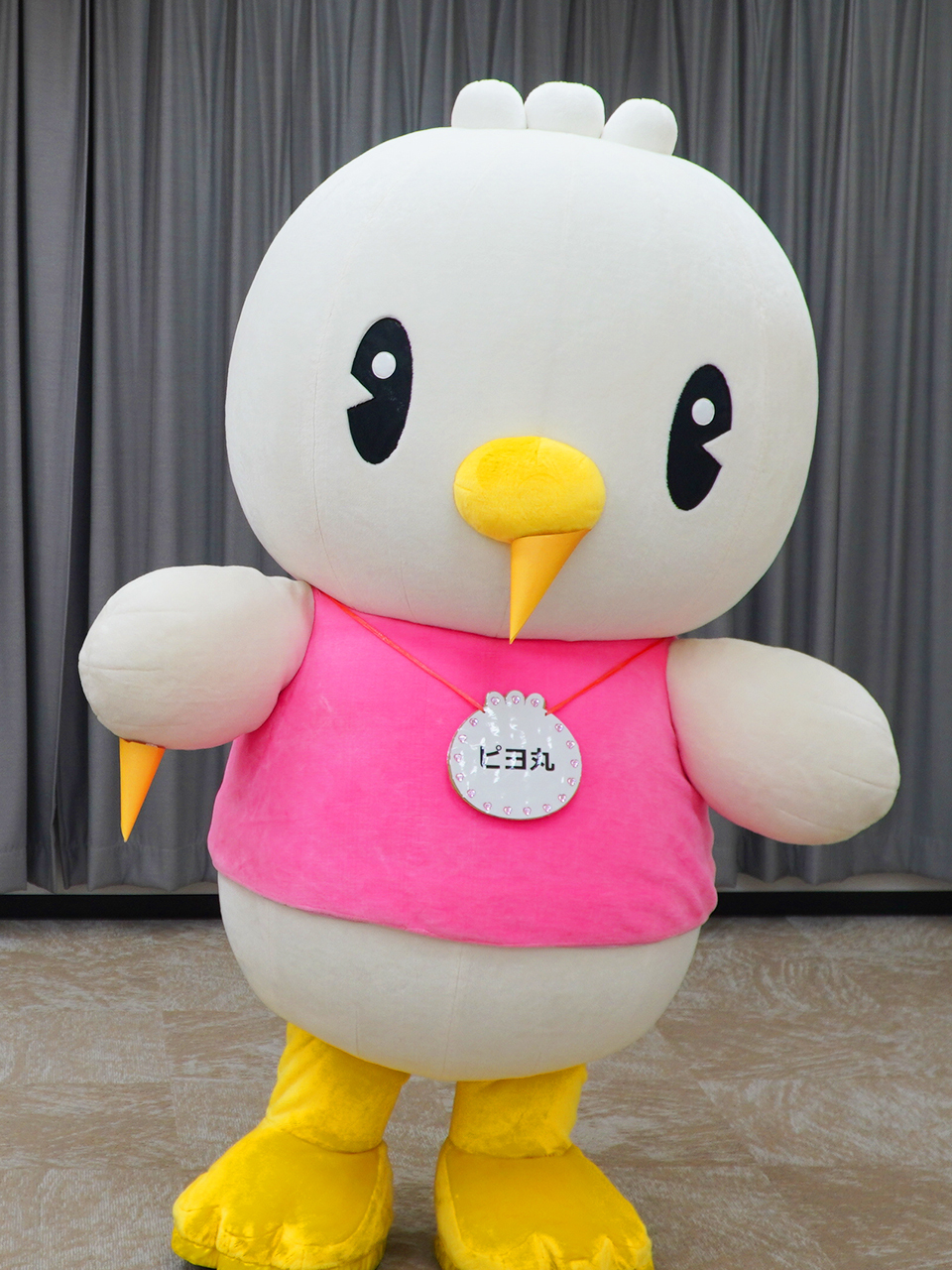 ピヨ丸グッズギャラリー - 東洋羽毛工業 ピヨ丸ぐっすり.com