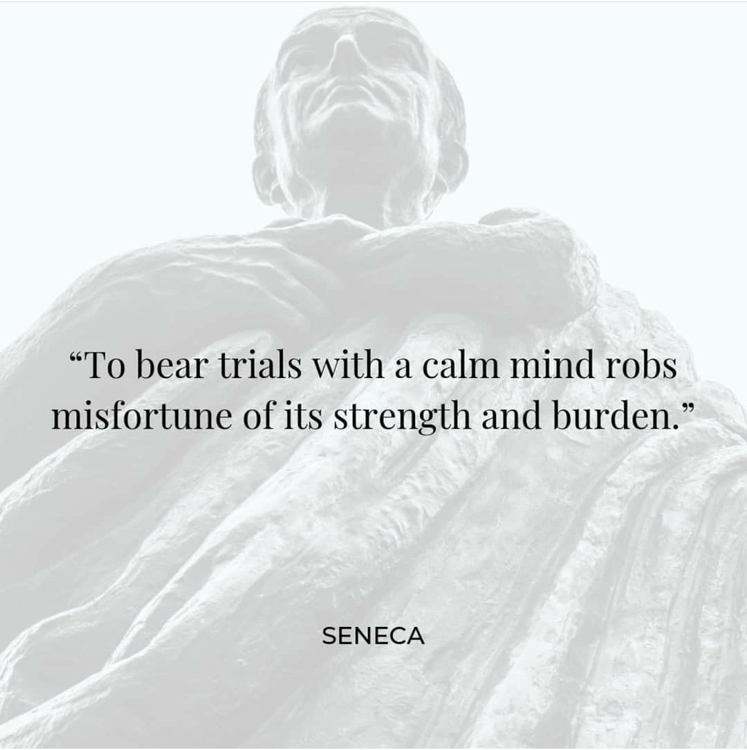 lawaviles's tweet photo. By maintaining a calm demeanor, one can shift the focus from the immediate suffering to finding solutions and opportunities for growth. #stoicism #stoic #Seneca https://t.co/1MnQJ6Lypn