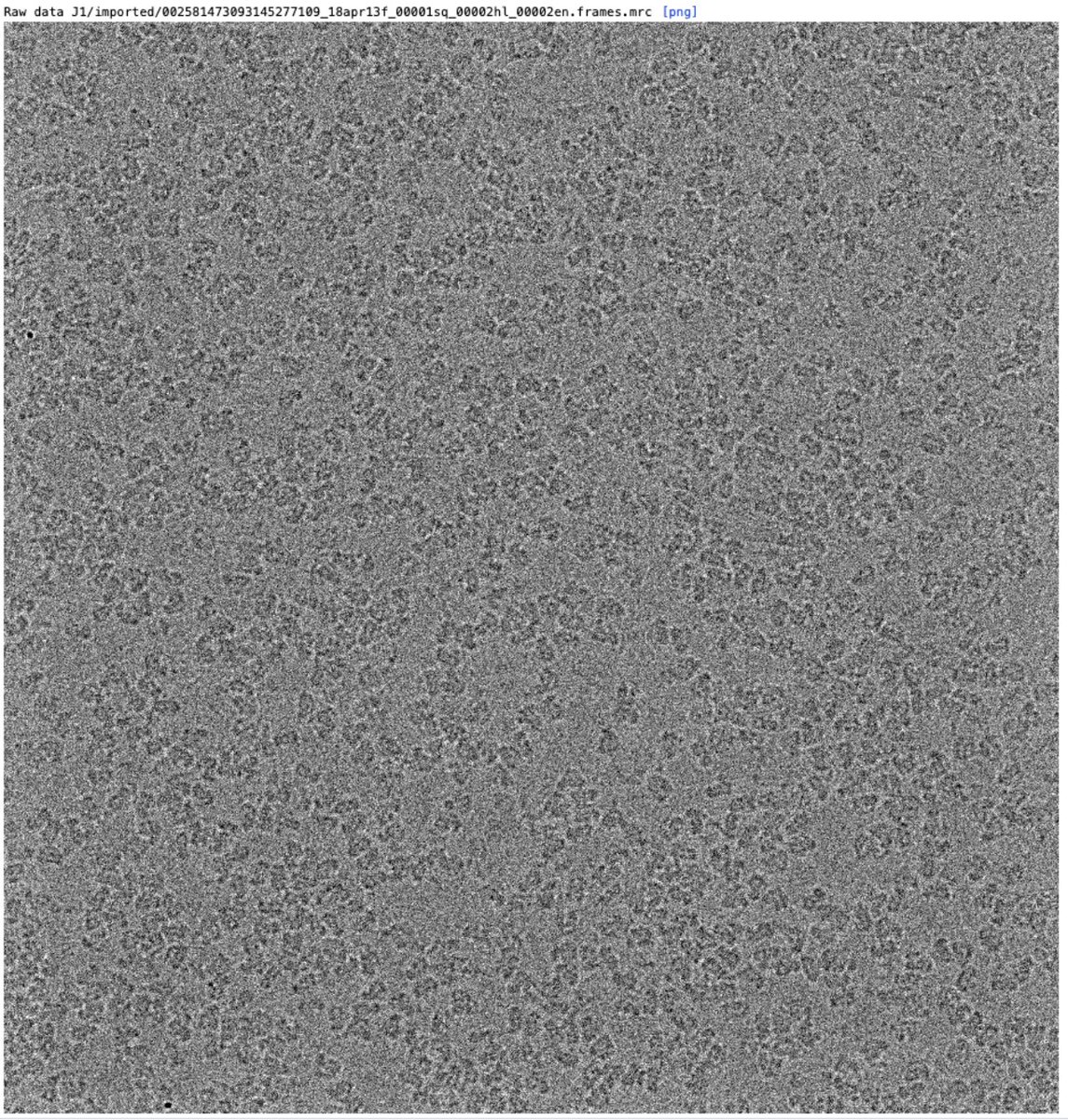 Rick Baker (@therickybaker) on Twitter photo Reprocessing some old #cryoEM data from my time in <a href="/aleschziner/">Andres Leschziner</a> lab. Gonna use this to prove to my students that I used to be awesome in the lab!
2.7 Å from 550 micros, hand-selected in Leginon and collected in super-res (gasp!) on a Talos with a K2. Ancient by today's standards Reprocessing some old #cryoEM data from my time in <a href="/aleschziner/">Andres Leschziner</a> lab. Gonna use this to prove to my students that I used to be awesome in the lab!
2.7 Å from 550 micros, hand-selected in Leginon and collected in super-res (gasp!) on a Talos with a K2. Ancient by today's standards