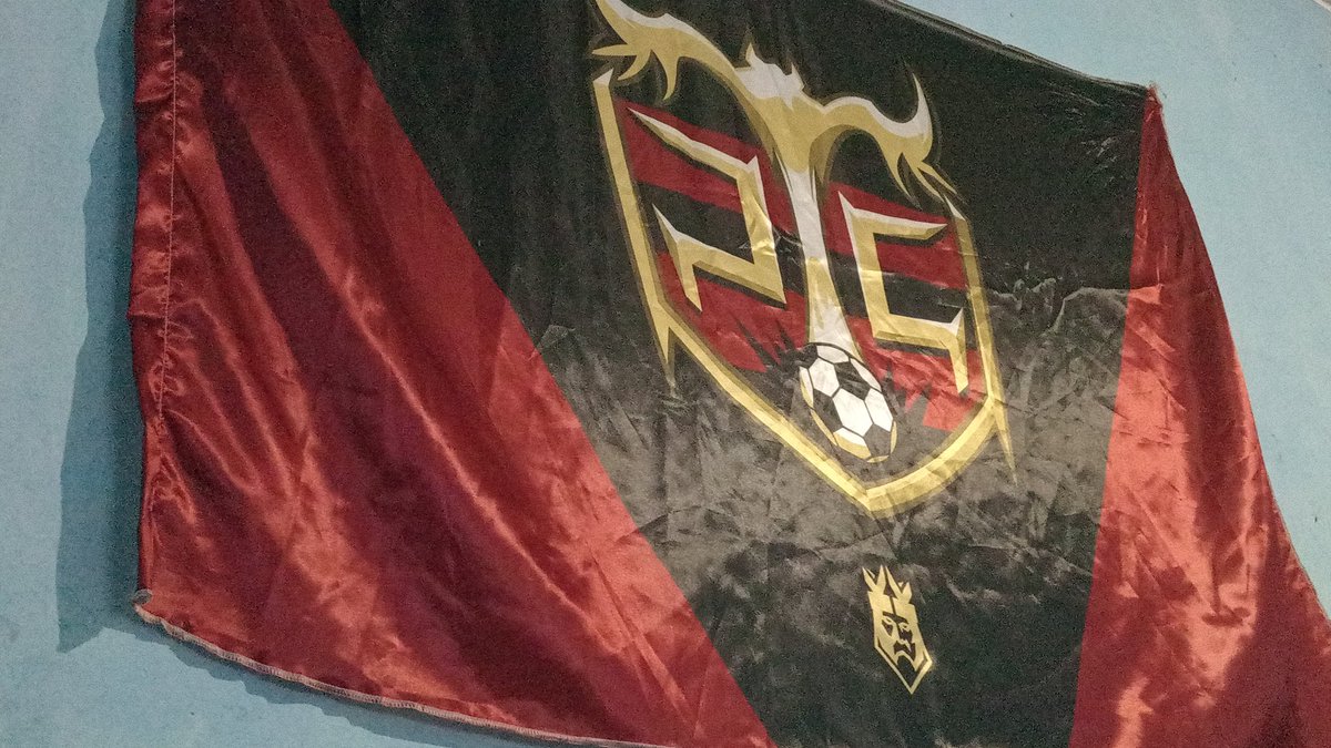 ElAvitCTR's tweet photo. Estuvieron vendiendo banderas muy chingonas fuera del Pirata, como de metro y fracción

Se le mira de huevos colgada en mi cuarto https://t.co/rg2z3ij2GB