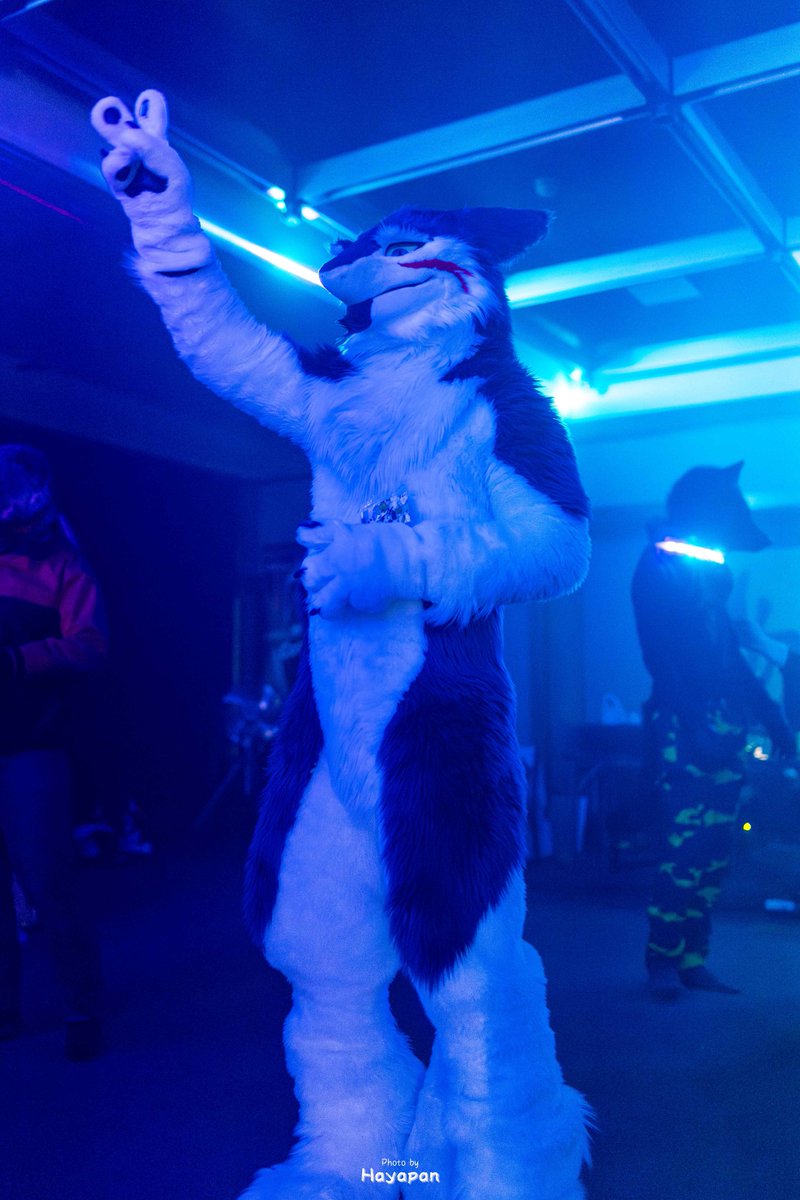 DJルームで楽しむオーウェン💽🧀
#FursuitFriday
#Kemotopia 
#こいと写真館 

📸✨️<a href="/R35maso/">はやぱん</a>