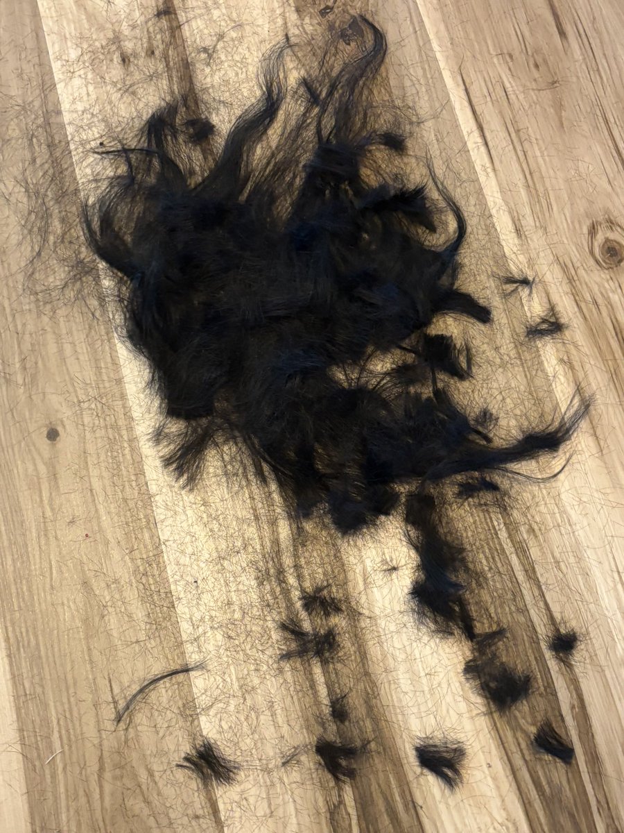 elliibear's tweet image. my best friend helped me chop my hair, short hair summer !!