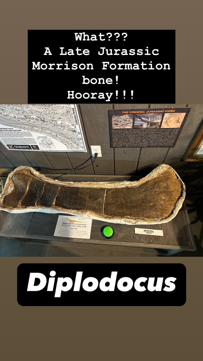 Opening night at the new Dinosaurs of the Hell Creek Museum was a blast!

Thank you, Bill Stein, for the invite. Such a neat museum!

Amazing casts, wonderful fossils, fantastic conversation, all capped by Clayton Phipps sharing his Dueling Dinosaurs experience.

#FossilCrates