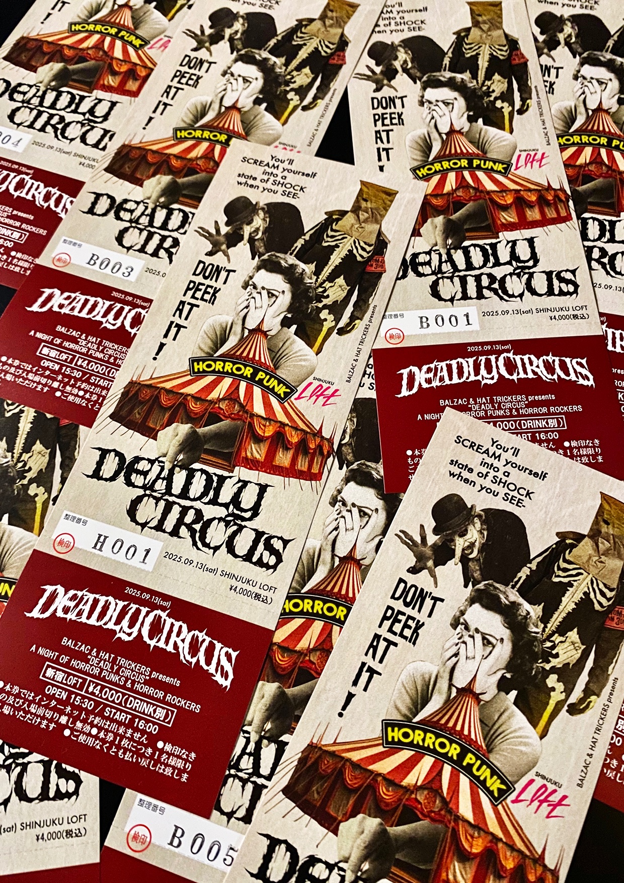 DIE IN CRIES ファンクラブ ヴェルトの眼の会報 8冊セット
