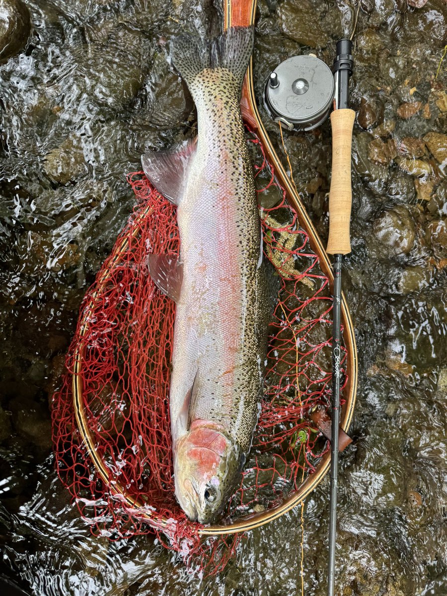 flyfishingとWrangler(キチガイ) tweet media