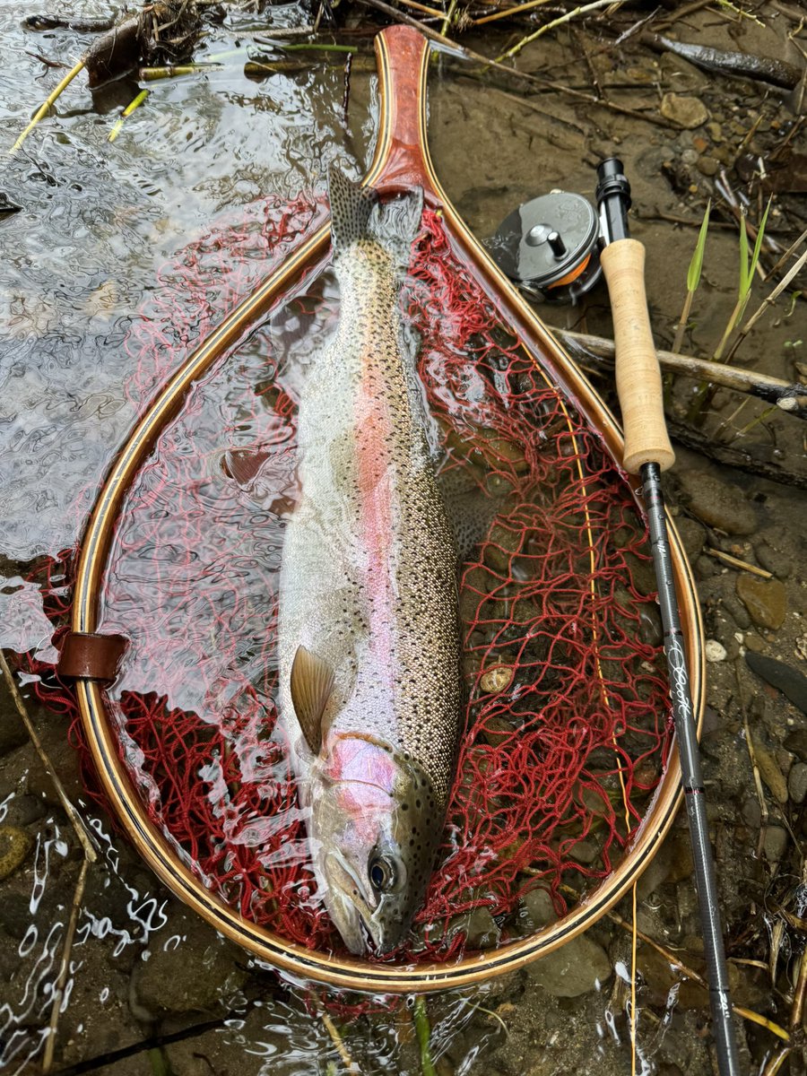 flyfishingとWrangler(キチガイ) tweet media