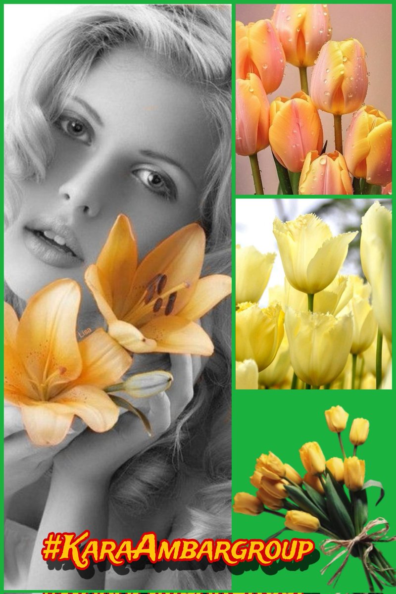 🌻🌷Mariana Fabiola🌷🌻 (@marifa05) on Twitter photo 🌷#KaraAmbargroup🌷
♥️<a href="/sinan525/">ayhan sevinç</a>
<a href="/Sude0028/">✿Naz ♥‿♥✿</a>
<a href="/Sinan256as/">A.Sevinç</a>
<a href="/Spencerjames211/">Spencer James #GAINWITHPETAL #TMPETAL #Teamspirit</a>
<a href="/halconavicencio/">🌹❤️ELENA MIRANDA V.❤️🌹#E̲l̲e̲M̲i̲r̲a̲n̲d̲a̲</a>
<a href="/Avishek_KG__/">Avishek KG</a>
<a href="/ss96003623/">366日の紙飛行機</a>
<a href="/ilegalilegal1/">@ilegal_ilegal</a>
<a href="/papiko7890/">ぱぴこ❤</a>
<a href="/DyelQueM/">🌤🫧☆◉ᴅʸᵉˡǫᵘᵉⁿ◉☆•🫧🌤</a>
<a href="/lynna_nich/">LynnaRTGAINS 💞 100K #ActiveGains #MGWV</a>
<a href="/aro_rojas/">Tiger 💚👮♂️#ActiveGains @f_a_r_a_h_9 @sitaravir</a>
<a href="/x4Eileen/">Eileen Bridget🌸</a>
<a href="/kamil_gk/">kamil ali gök</a>
<a href="/m11__hr/">Maracuyá</a>
<a href="/MariFa05/">🌻🌷Mariana Fabiola🌷🌻</a>
<a href="/Elmaslegal/">Juan Pérez</a>
<a href="/HalconaUFF/">♥️Elena Amelia M ♥️#𝔻𝕖𝕁𝕒𝕡𝕠𝕟𝔸𝕣𝕚𝕘𝕒𝕥𝕠🌸</a>
<a href="/MarinaEle23/">❣️Marina Elena V.❣️#𝔻𝕖𝕁𝕒𝕡𝕠𝕟𝔸𝕣𝕚𝕘𝕒𝕥𝕠🌸</a>
<a href="/RosaNegra008/">#ℑ𝔫𝔪𝔞 🌹🖤</a>
<a href="/Jasmine02727806/">🌼 ᒎ ᗩ ᔕ ᙢ ᓰ Ɲ ᕮ2🌼</a> 🌷#KaraAmbargroup🌷
♥️<a href="/sinan525/">ayhan sevinç</a>
<a href="/Sude0028/">✿Naz ♥‿♥✿</a>
<a href="/Sinan256as/">A.Sevinç</a>
<a href="/Spencerjames211/">Spencer James #GAINWITHPETAL #TMPETAL #Teamspirit</a>
<a href="/halconavicencio/">🌹❤️ELENA MIRANDA V.❤️🌹#E̲l̲e̲M̲i̲r̲a̲n̲d̲a̲</a>
<a href="/Avishek_KG__/">Avishek KG</a>
<a href="/ss96003623/">366日の紙飛行機</a>
<a href="/ilegalilegal1/">@ilegal_ilegal</a>
<a href="/papiko7890/">ぱぴこ❤</a>
<a href="/DyelQueM/">🌤🫧☆◉ᴅʸᵉˡǫᵘᵉⁿ◉☆•🫧🌤</a>
<a href="/lynna_nich/">LynnaRTGAINS 💞 100K #ActiveGains #MGWV</a>
<a href="/aro_rojas/">Tiger 💚👮♂️#ActiveGains @f_a_r_a_h_9 @sitaravir</a>
<a href="/x4Eileen/">Eileen Bridget🌸</a>
<a href="/kamil_gk/">kamil ali gök</a>
<a href="/m11__hr/">Maracuyá</a>
<a href="/MariFa05/">🌻🌷Mariana Fabiola🌷🌻</a>
<a href="/Elmaslegal/">Juan Pérez</a>
<a href="/HalconaUFF/">♥️Elena Amelia M ♥️#𝔻𝕖𝕁𝕒𝕡𝕠𝕟𝔸𝕣𝕚𝕘𝕒𝕥𝕠🌸</a>
<a href="/MarinaEle23/">❣️Marina Elena V.❣️#𝔻𝕖𝕁𝕒𝕡𝕠𝕟𝔸𝕣𝕚𝕘𝕒𝕥𝕠🌸</a>
<a href="/RosaNegra008/">#ℑ𝔫𝔪𝔞 🌹🖤</a>
<a href="/Jasmine02727806/">🌼 ᒎ ᗩ ᔕ ᙢ ᓰ Ɲ ᕮ2🌼</a>