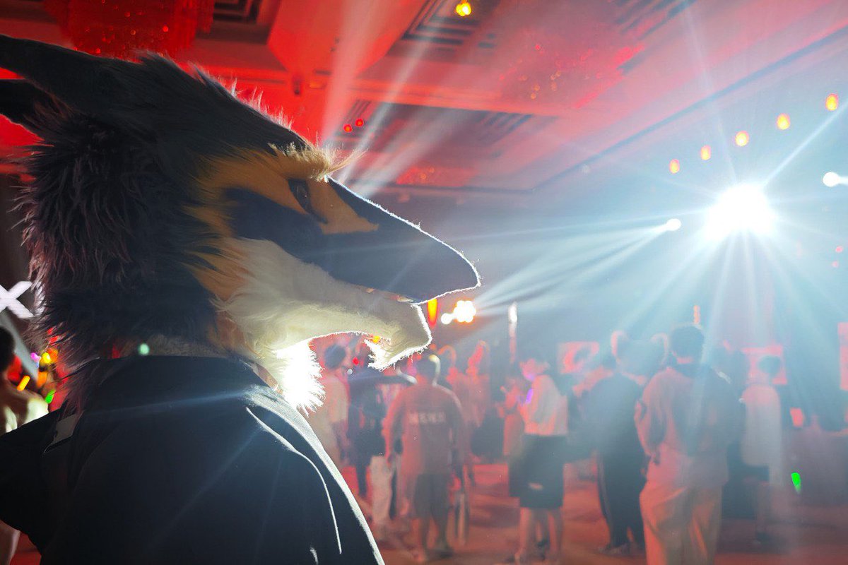 serg in the lights 🧀

#FursuitFriday