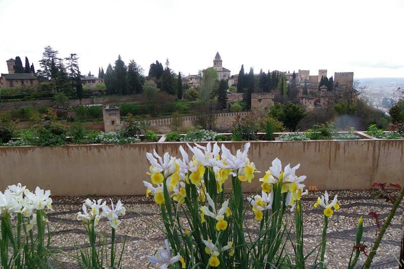 Pacopelegrina2's tweet photo. ¡Buenos días!
Desde cualquier ángulo que se mire, siempre resulta agradable.
#alhambradegranada #generalife, #alhambra https://t.co/uVVzf3bx8s