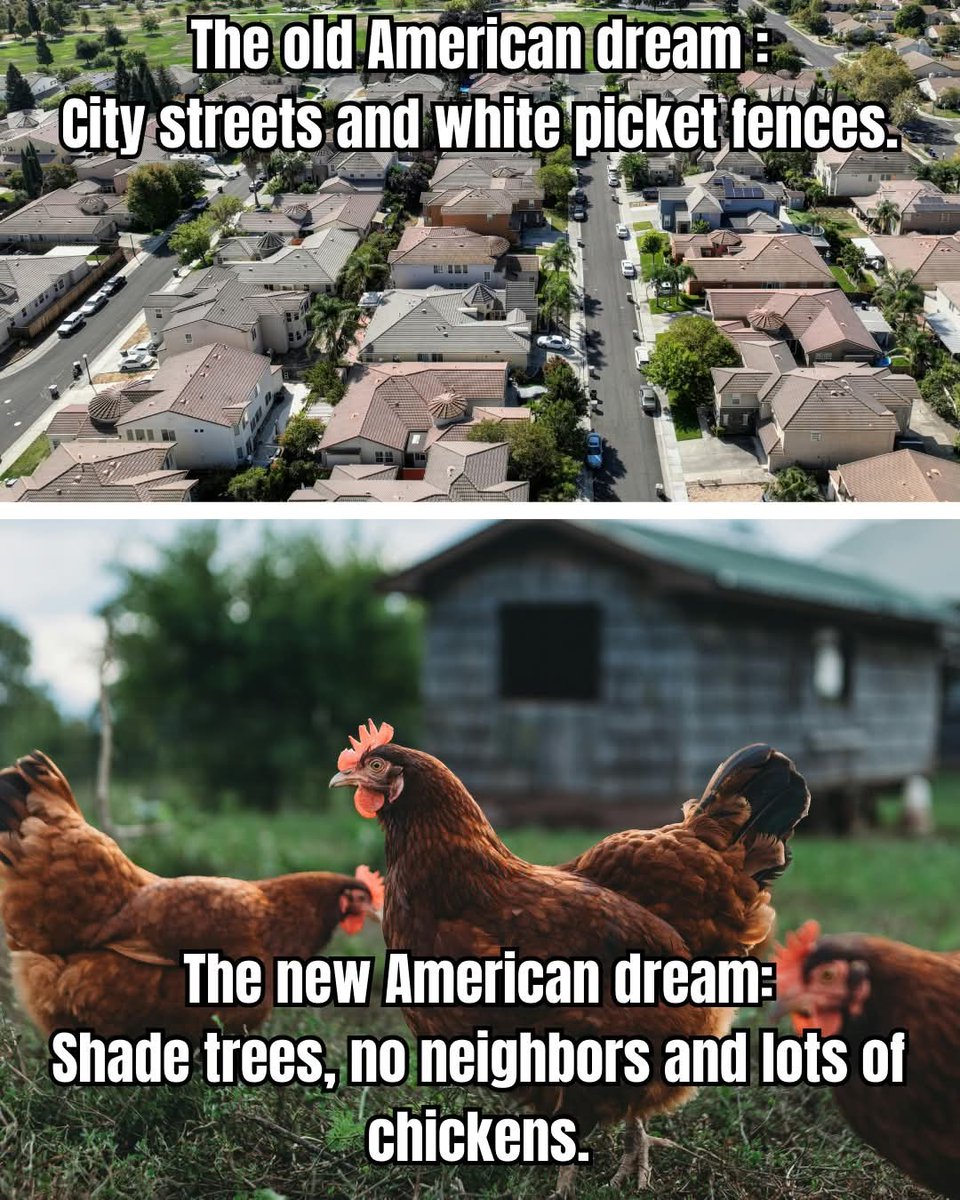 farmHer03's tweet photo. https://t.co/eyPOGfLZCt