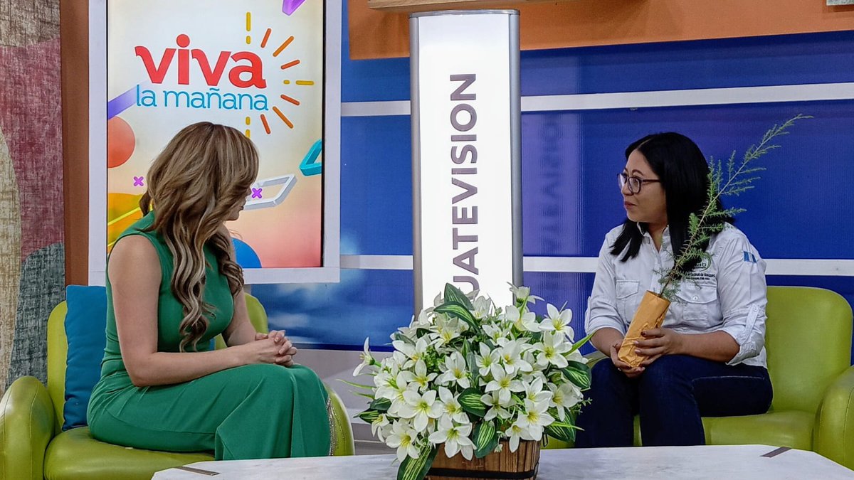 INAB Guatemala (@inabguatemala) on Twitter photo #Entérate|🌱📍 Hoy, en el Día Nacional del Árbol, estuvimos en <a href="/Guatevision_tv/">Guatevisión</a>, hablando sobre las metas 2️⃣0️⃣2️⃣5️⃣ de nuestro programa de educación forestal, Sembrando Huella🙌. #Entérate|🌱📍 Hoy, en el Día Nacional del Árbol, estuvimos en <a href="/Guatevision_tv/">Guatevisión</a>, hablando sobre las metas 2️⃣0️⃣2️⃣5️⃣ de nuestro programa de educación forestal, Sembrando Huella🙌.