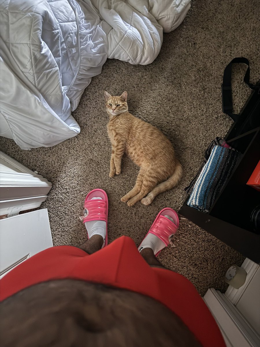 barboncolLA's tweet photo. Hi Gatito ❤️❤️ https://t.co/ZzlrFLppjG