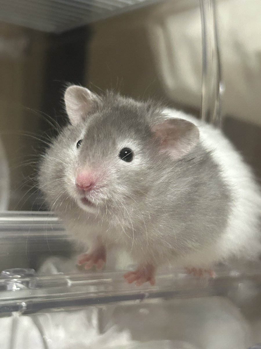 おはよーございます☀️
金曜日！！！！
バイトの面接に行ってきます

みんなはお昼ご飯タイムですか？