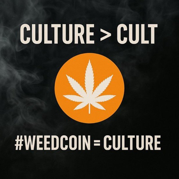 🌿☮️pepe15🌿☮️ tweet media