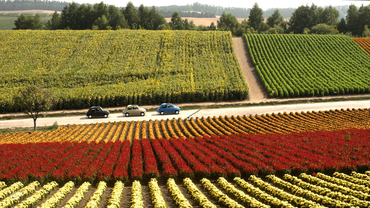 イタ車で日本観光64 
週末だっ！
#日々週末が楽しみ
#フォトはあんまり関係ない
#Fiat #Cinquecento 
#GT7 
#VPSAT 
#GT7PureScapes 
#GhostArts