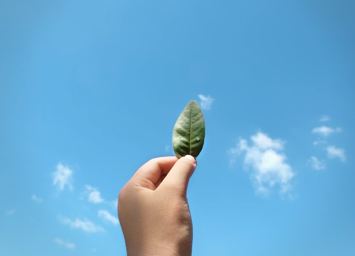 Nzero_official's tweet image. Our planet&apos;s future is in our hands. Let&apos;s unite and take sustainable actions to protect it for generations to come. 🤝🌎 #EarthGuardians #SustainableActions #Sustainability #EcoFriendly #GoGreen #SustainableFuture #EnvironmentalAction