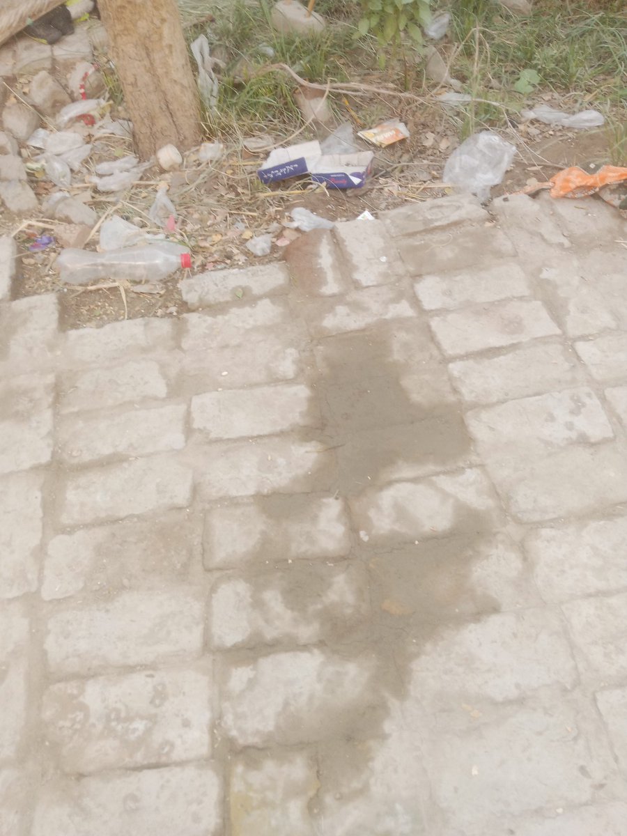 Helen Petty (@helendpetty) on Twitter photo 